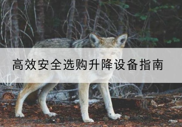 南湖升降货梯厂家推荐-*安全选购升降设备指南