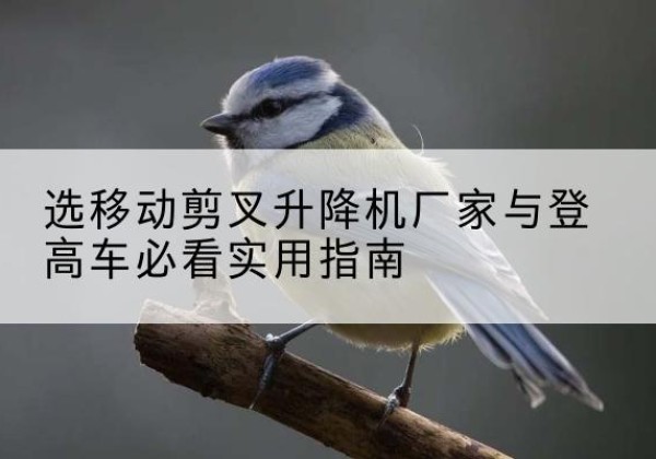 南湖电动升降机厂家-选移动剪叉升降机厂家与登高车必看实用指南