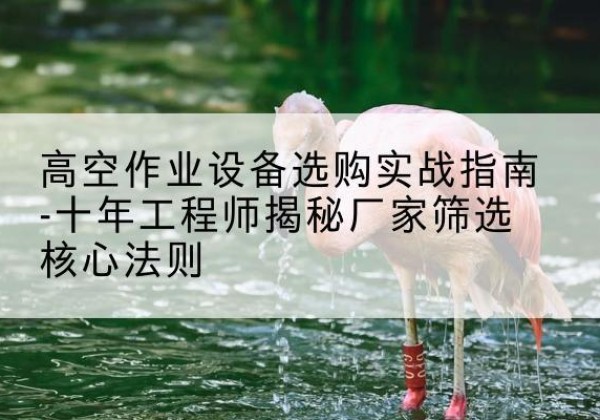 南湖剪叉式升降机厂家-高空作业设备选购实战指南-十年工程师揭秘厂家筛选核心法则